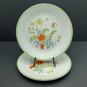 Corelle Wildflower Dinner Plates Corning Spring Bouquet Floral Green Band Plates